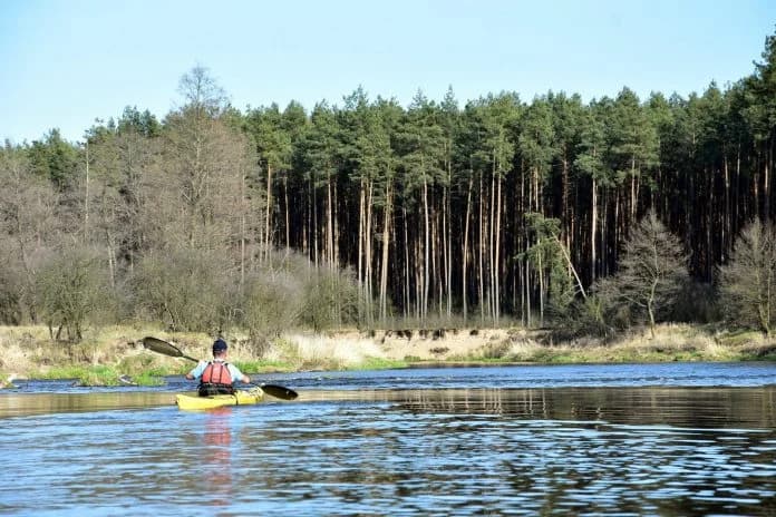 Zakościele - Mysiakowiec