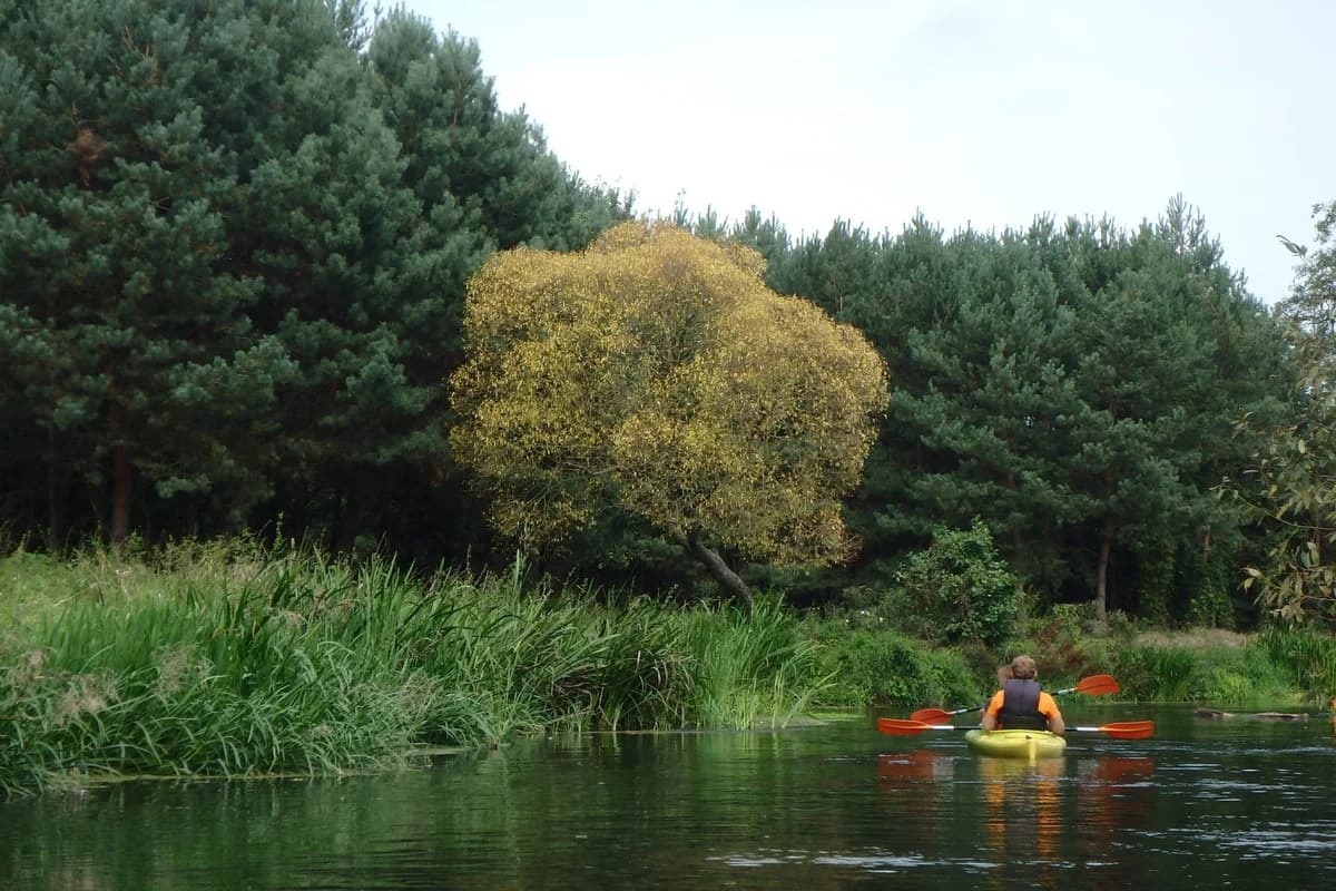 Szyszków – Zawady OW Krecik