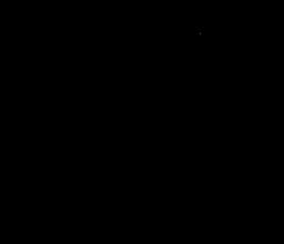 Logo Spływ Dunajcem Szymsport