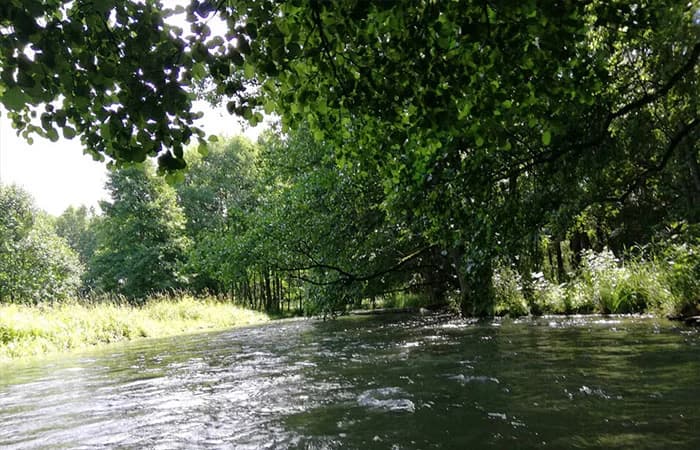 Borsk – Miedzno
