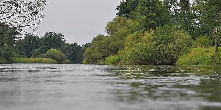 Krzeczów - Konopnica