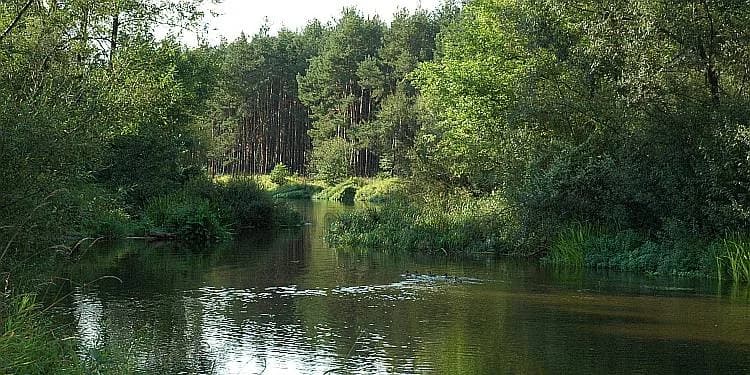 Osjaków - Burzenin